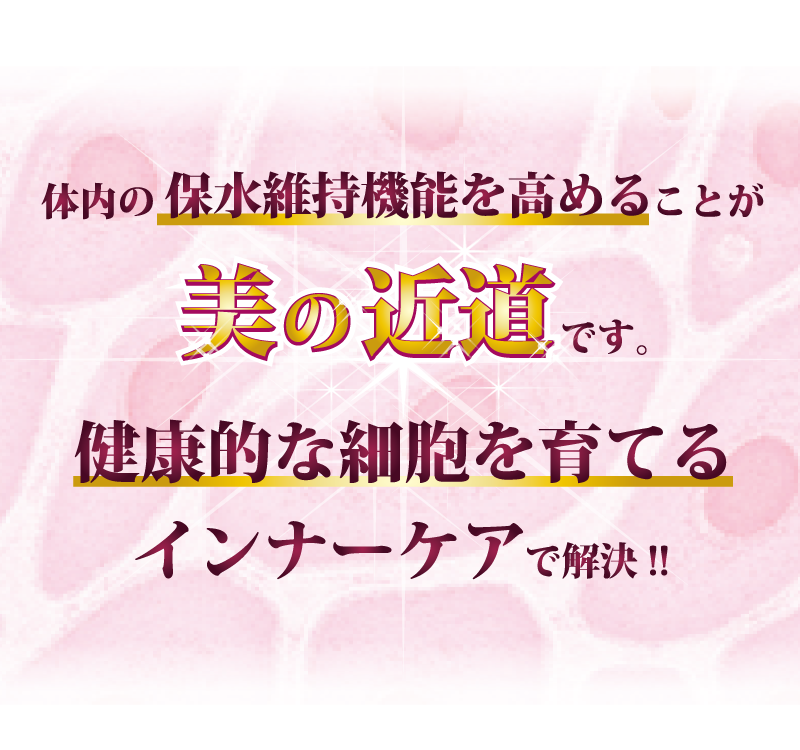 体内の保水維持機能を高めることが美の近道です。健康的な細胞を育てるインナーケアで解決！